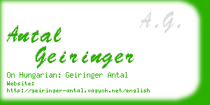 antal geiringer business card